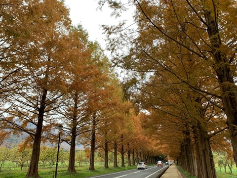 41A3DA12-5C48-4167-AF45-B566EACF3D61