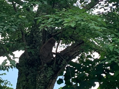 0820B4EB-C6D1-4E39-90BA-C9A37D96EB29