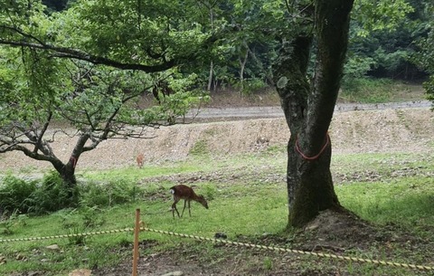 D9ADC132-DCF7-4ED6-94A1-8F6609A5870C