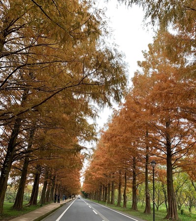 58AB633A-DFFA-41C1-BCB9-02DE987378CF