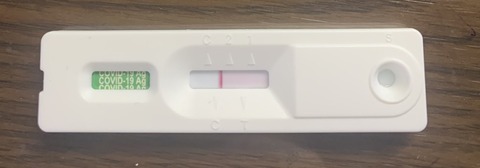 D8B37585-E615-4728-928B-65E3E465703C