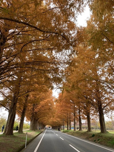 0DABC5CC-7708-41B1-BB2F-5A901FD3BBF6