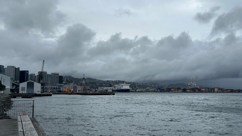 IMG_0384