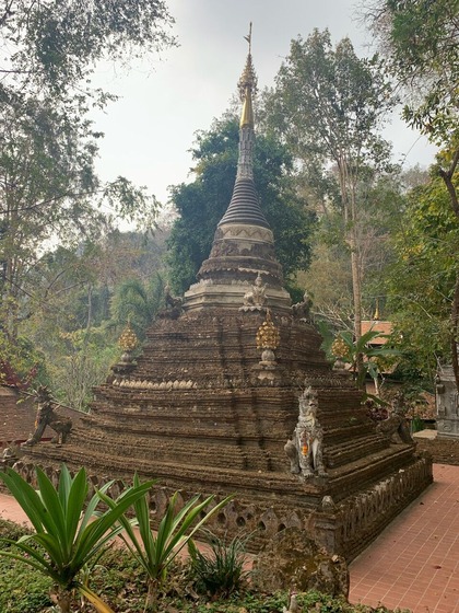 71B06F98-CC28-494C-B284-13ADDD8EA442