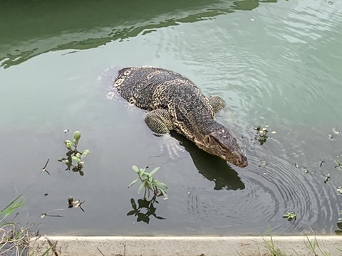 B85C5D3E-5799-4819-A22B-01AB1FDD31A2