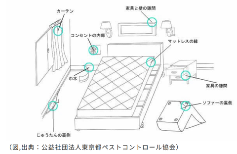 スクリーンショット 2026-10-13 225041