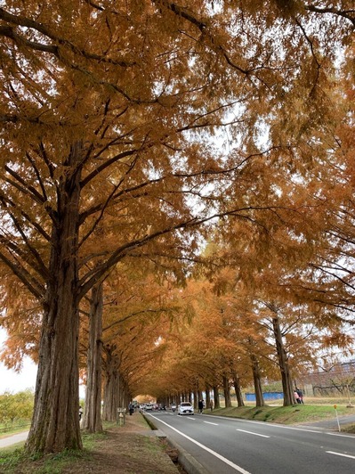 01194A02-264B-4856-928C-F9E54A551127