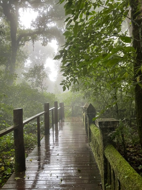 AE09A747-84CD-4975-B2CF-B21976D3A1CC