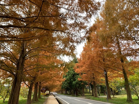 73F7D290-87D8-47F0-B030-5442FED89779