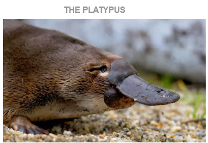 スクリーンショット 2026-01-11 175021