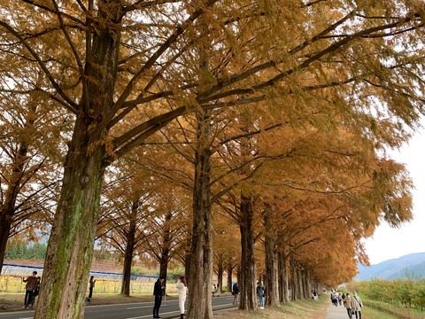 92C766E5-099A-4BC9-936C-66CC5DD1DECD