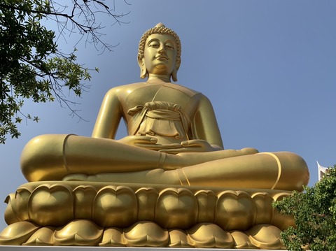 A5B4EFB6-07CB-4689-BE85-33242C42D078