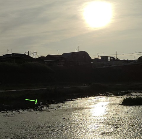 CDFDD526-7642-4ED5-A6AF-1B59CDE15A11