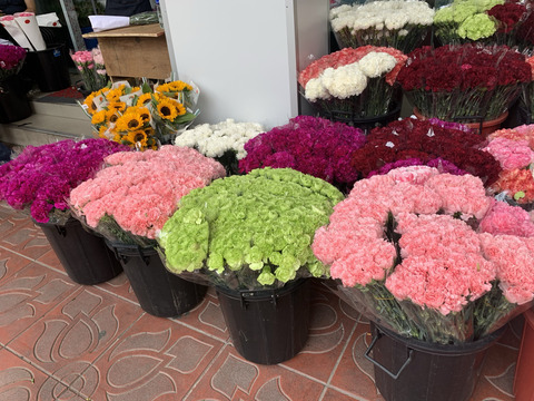 1164ADE5-389E-4BF6-AC89-7C34C053C8CB