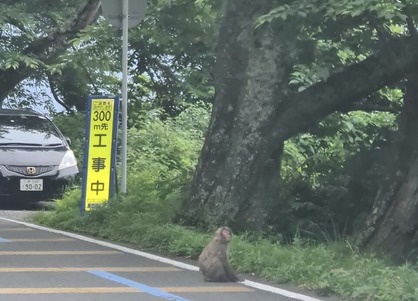 C84982C3-07C7-49C8-ABE6-B4C927D1DA79