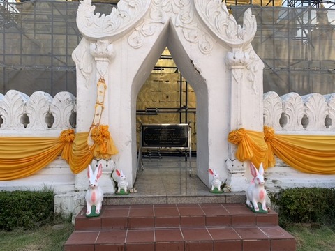 9AF06CB6-C202-4A8B-987A-527F2BA1310D