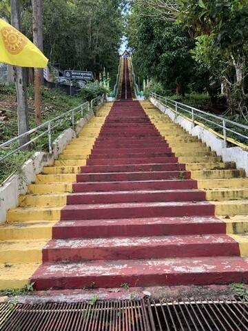 81E8667A-D745-491B-879D-04417CBC8C24