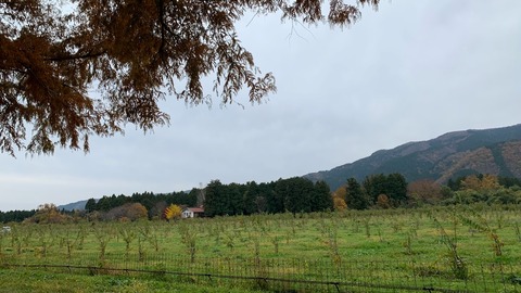 FB59925D-BE46-4415-9637-BAB58DA0298C