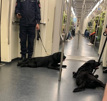 24A38332-64AA-4D35-9981-0CEAA26C456D