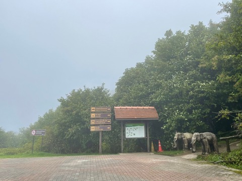 E50FAAED-9E62-48B0-8C16-2B90F860113C