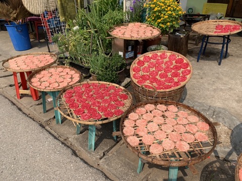 0A9EE0EE-8F07-4E82-9F85-618D9A08E41F