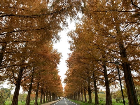 B348F24E-C840-45E0-BA7C-21C4851B78B1