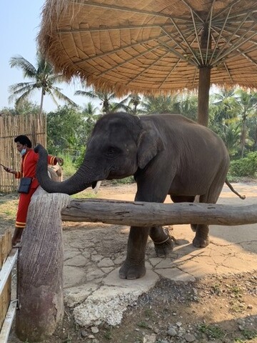 EE1EF857-7D8A-40C4-A86D-163B88C26C92