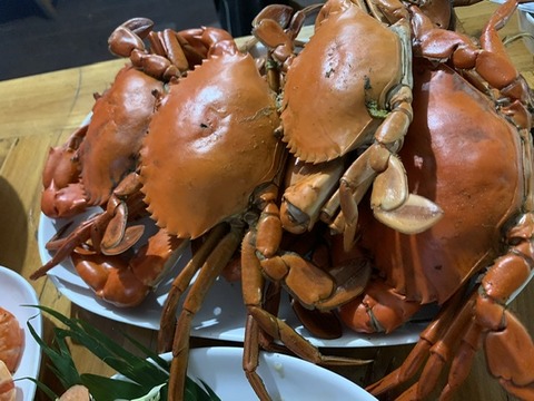 0F261F73-FA4D-4FB4-AC33-75551A1B3EA0