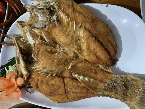 204F5755-9E3C-4634-9917-5ED1363C1961