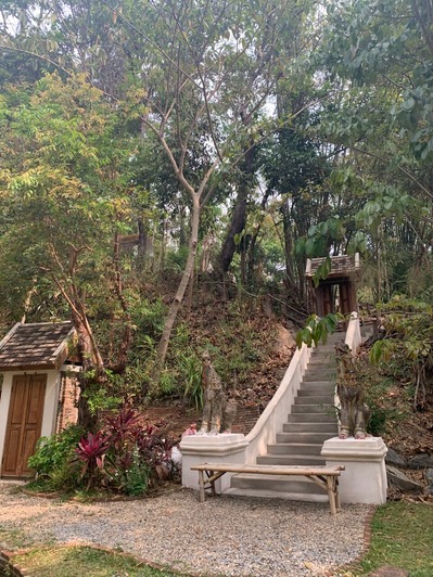 D2B618EA-896F-4E4E-BD2E-2E5FF6E926F8