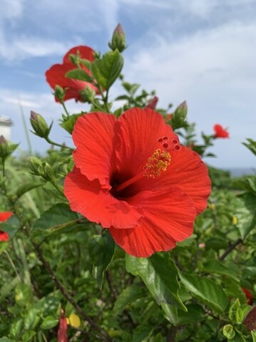 D470A8C7-136F-4261-83DD-8E00EAA99997