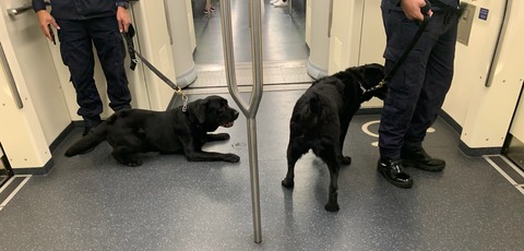 8CB3E255-D044-4E3D-8E87-140FA68E7E45