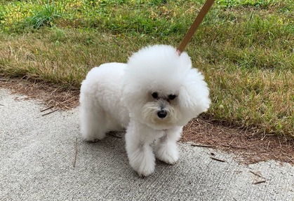 57A562A0-36E2-41D9-B184-673D1473126C