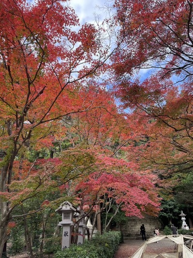 9A1CA7BC-C26F-41EF-B6C6-1A8BF4EF16C9