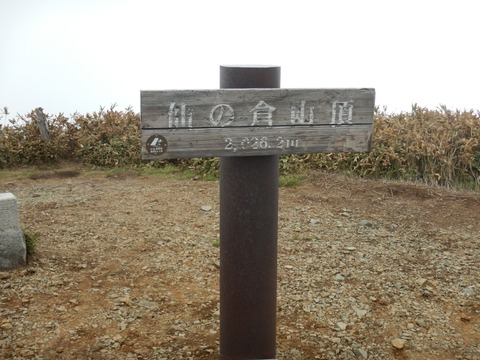 DSCN3730
