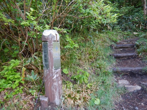 DSCN3649