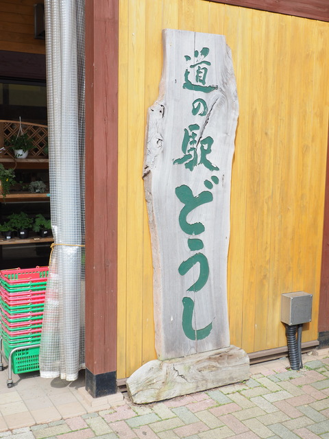 P5300224