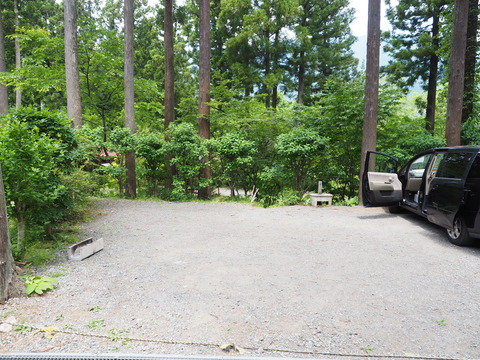 P5310268
