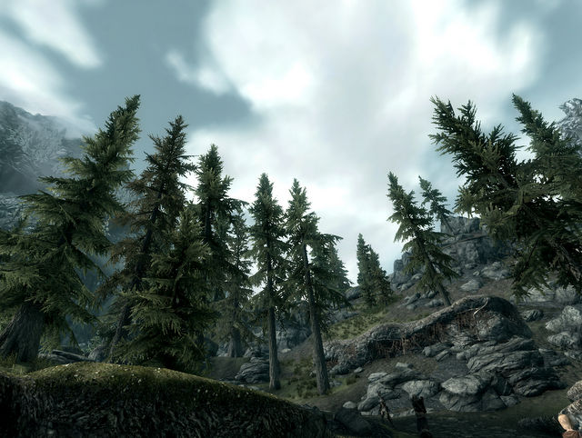 SkyrimSS296.jpg