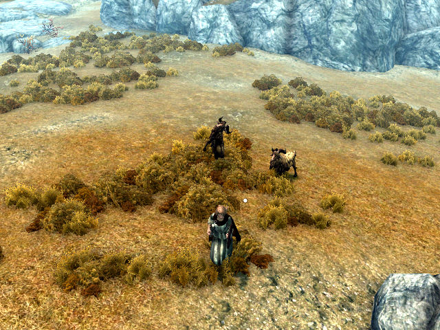 SkyrimSS352.jpg
