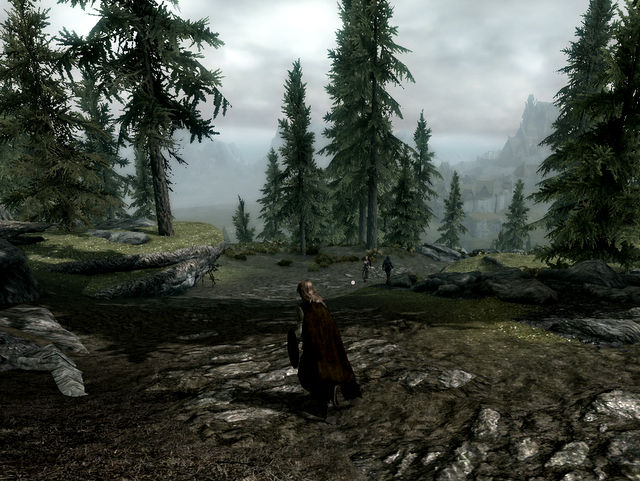 SkyrimSS295.jpg
