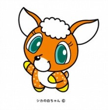 シカの白ちゃん ナ ライブログ