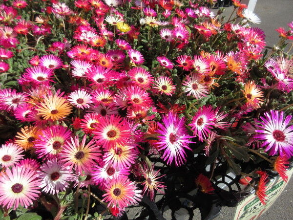 お金の価値観が合わない人 無職のお財布日記