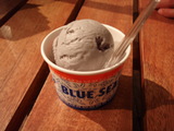 BlUESEAL