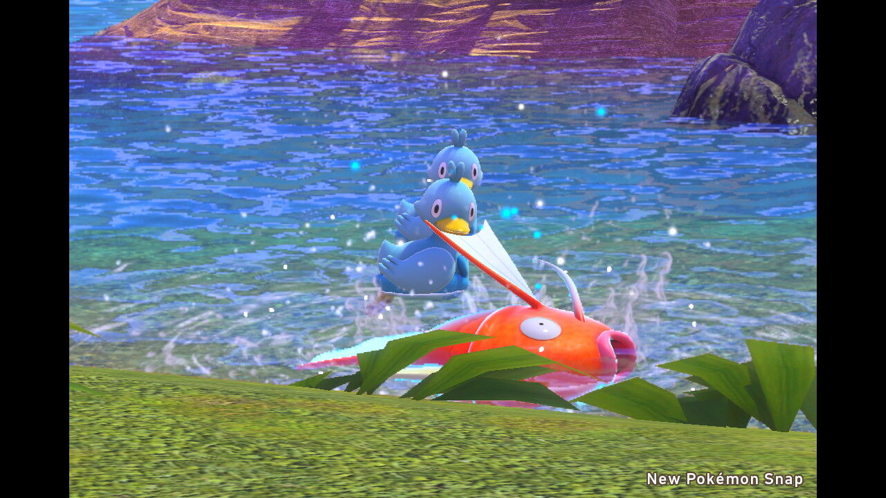 New ポケモンスナップ よろずブログ New ポケモンスナップ よろずブログ