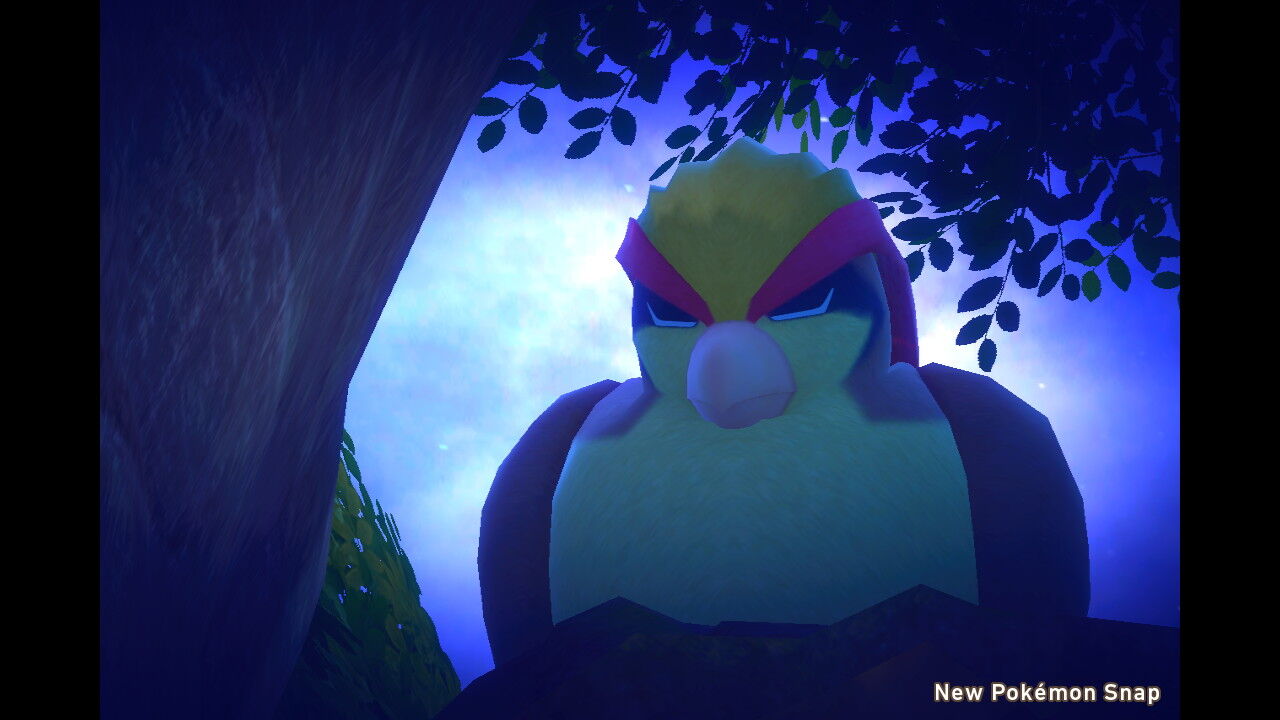 New ポケモンスナップ よろずブログ New ポケモンスナップ よろずブログ