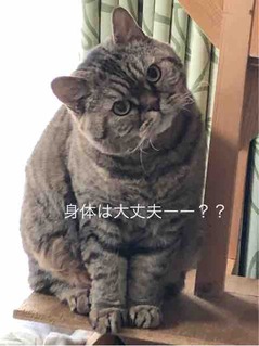 FullSizeRender