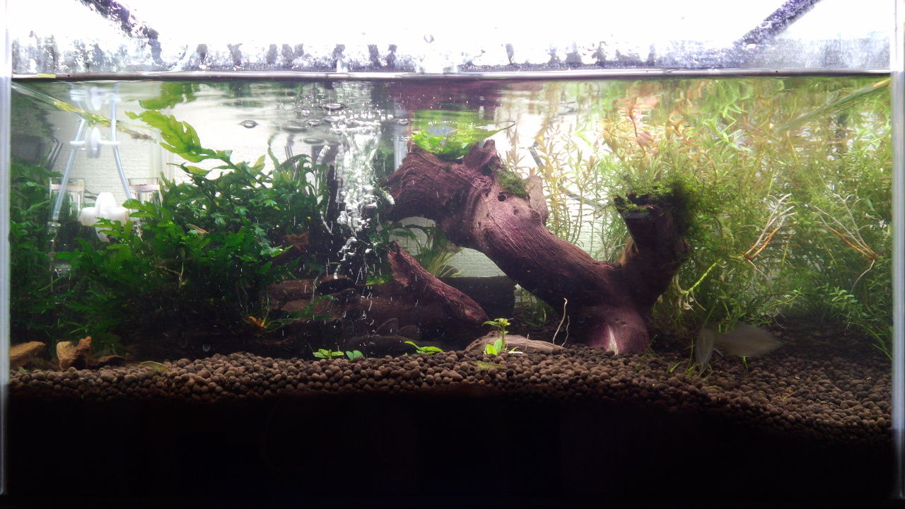 水流 なまずを少々 改