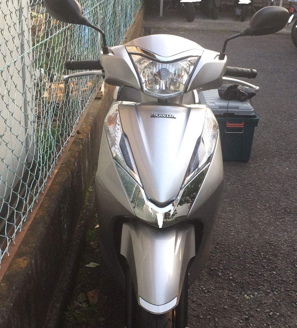 リード125購入理由 シラスのアウトドア リード125購入理由 シラスのアウトドア