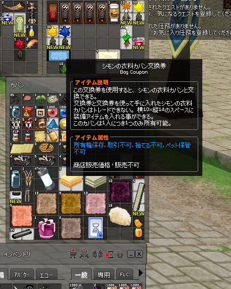 mabinogi_2021_02_19_222258